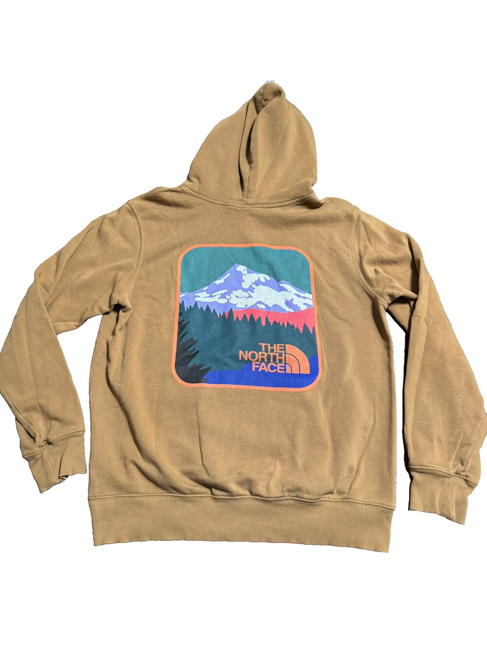 The North Face Men's Rust Brown Pullover Hoodie Large Logo Graphic Fleece Sz M
